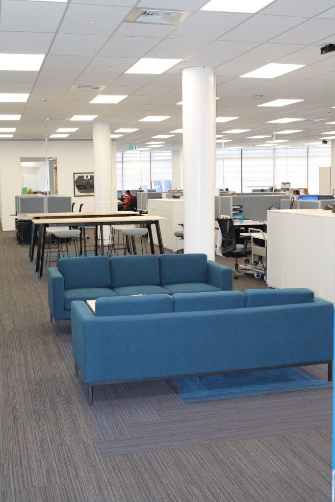 Briscoes HQ Morningside: Grey carpet in the open-plan office and grey timber-look planks in the kitchen and corridor