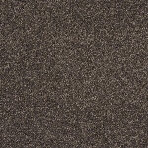 Castor Bay 1843 - Castor Bay Broadloom