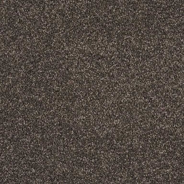 Castor Bay 1843 - Castor Bay Broadloom
