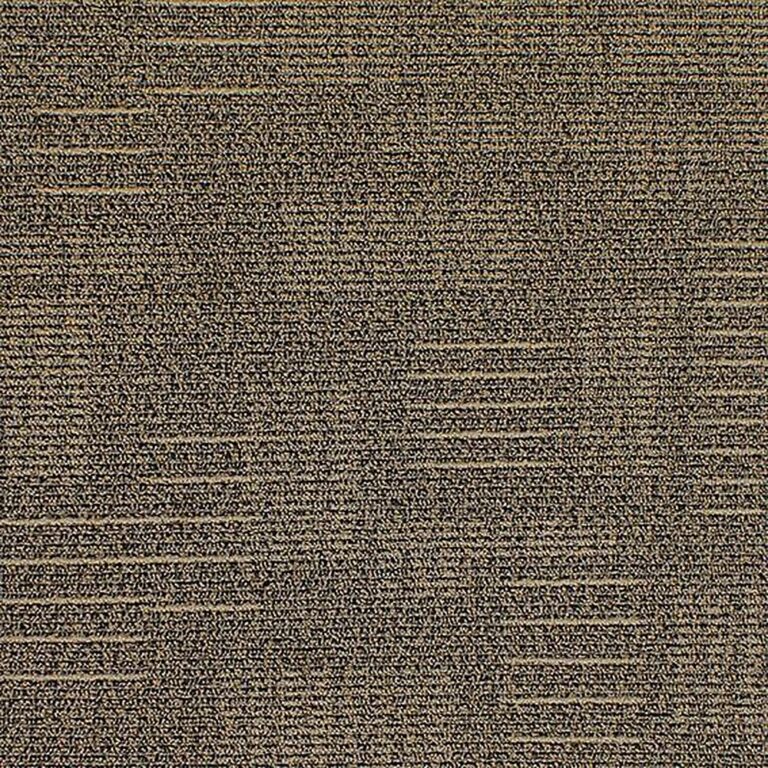 Tasman 6