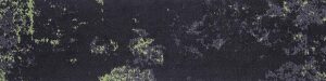 Waitakere Shadow 101