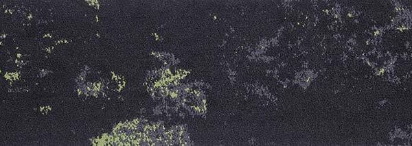 Waitakere Shadow 101