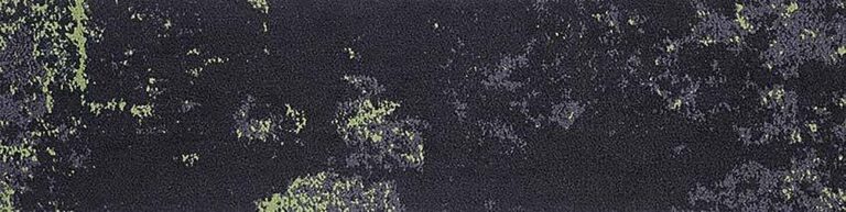 Waitakere Shadow 101