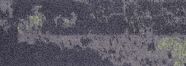 Waitakere Shadow 201