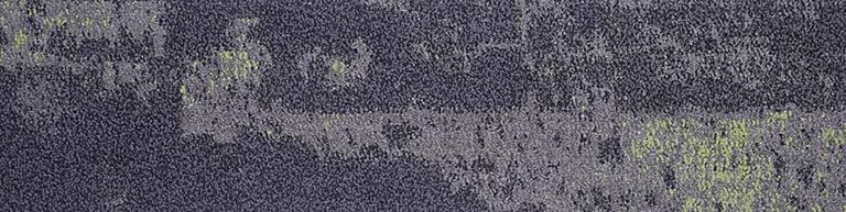 Waitakere Shadow 201