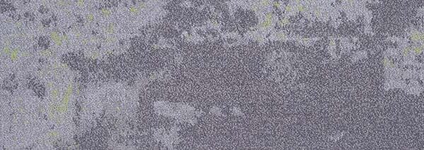 Waitakere Shadow 301