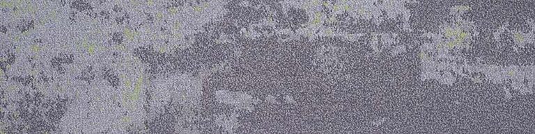 Waitakere Shadow 301