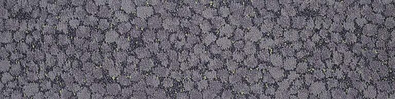 Waitakere Stone 201