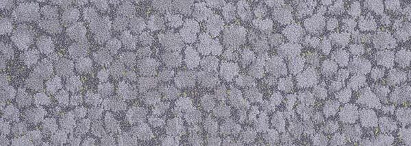 Waitakere Stone 301