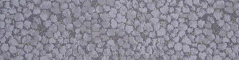 Waitakere Stone 301
