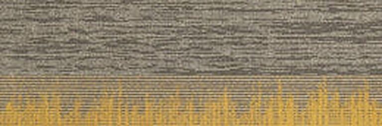Parallel 1