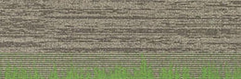Parallel 2