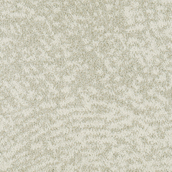 Wavelet A1