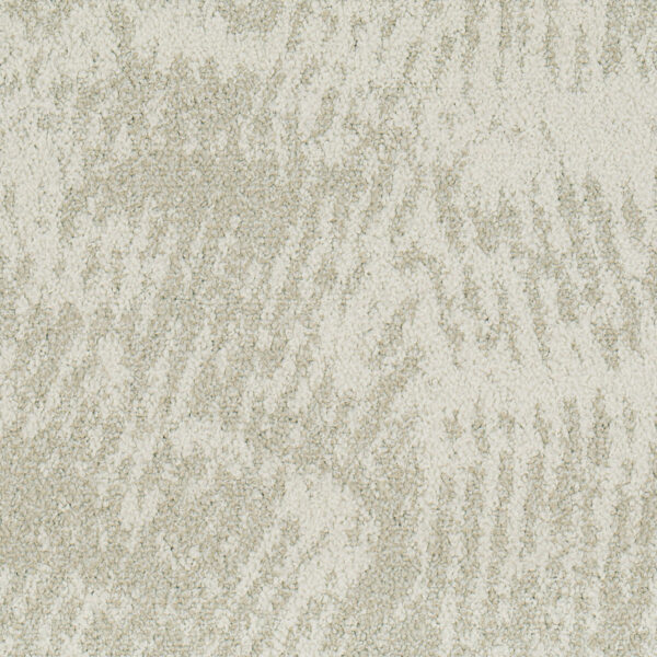 Wavelet C1