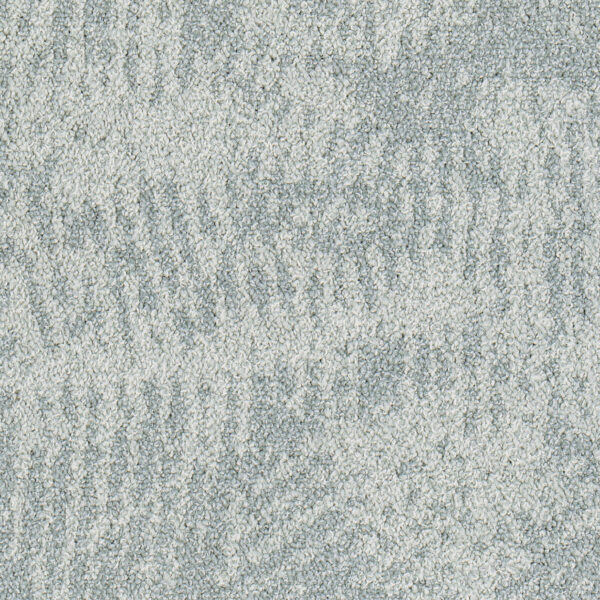 Wavelet C2