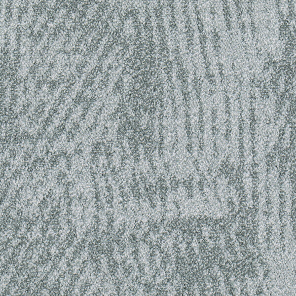 Wavelet C4