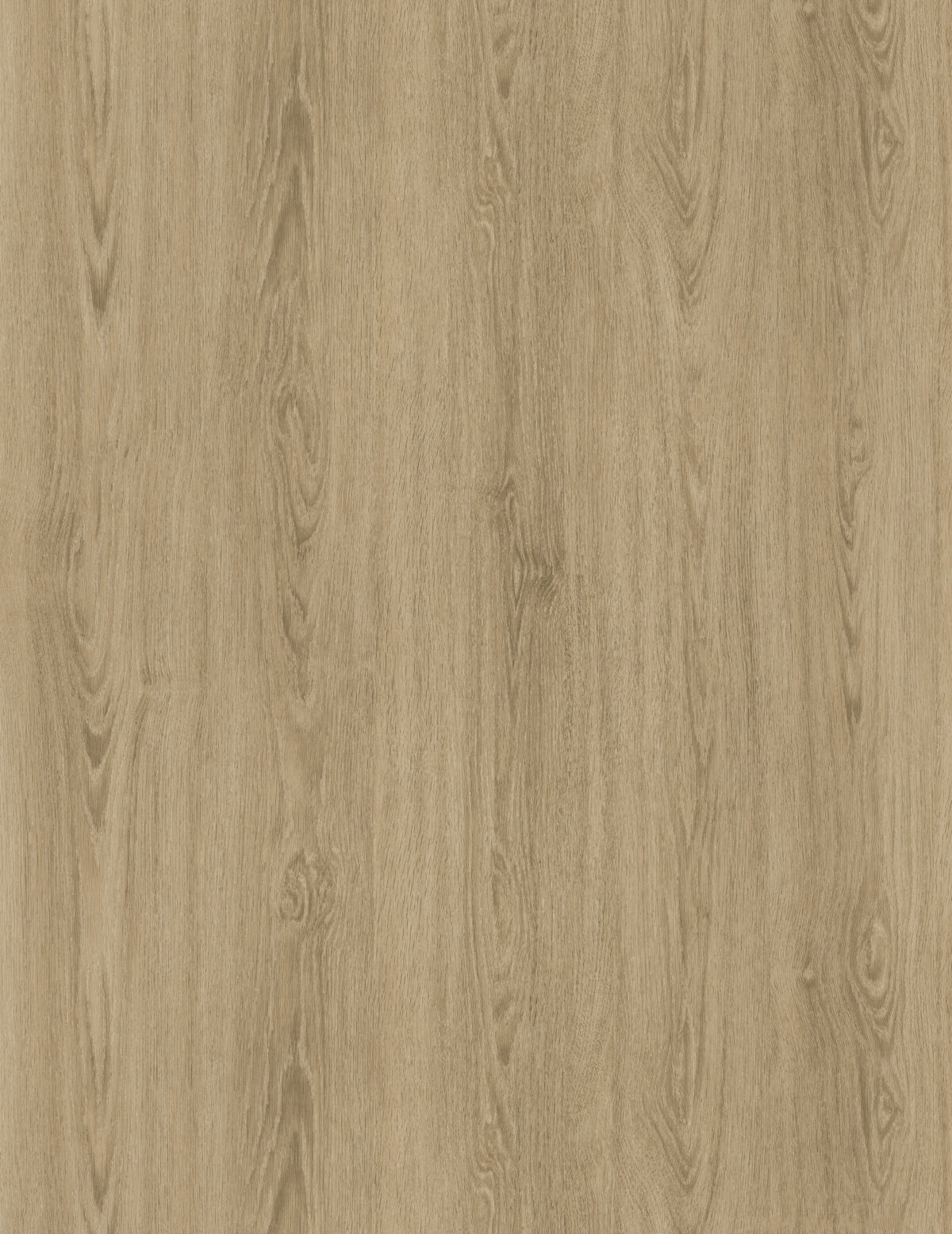 JRP Medium Oak