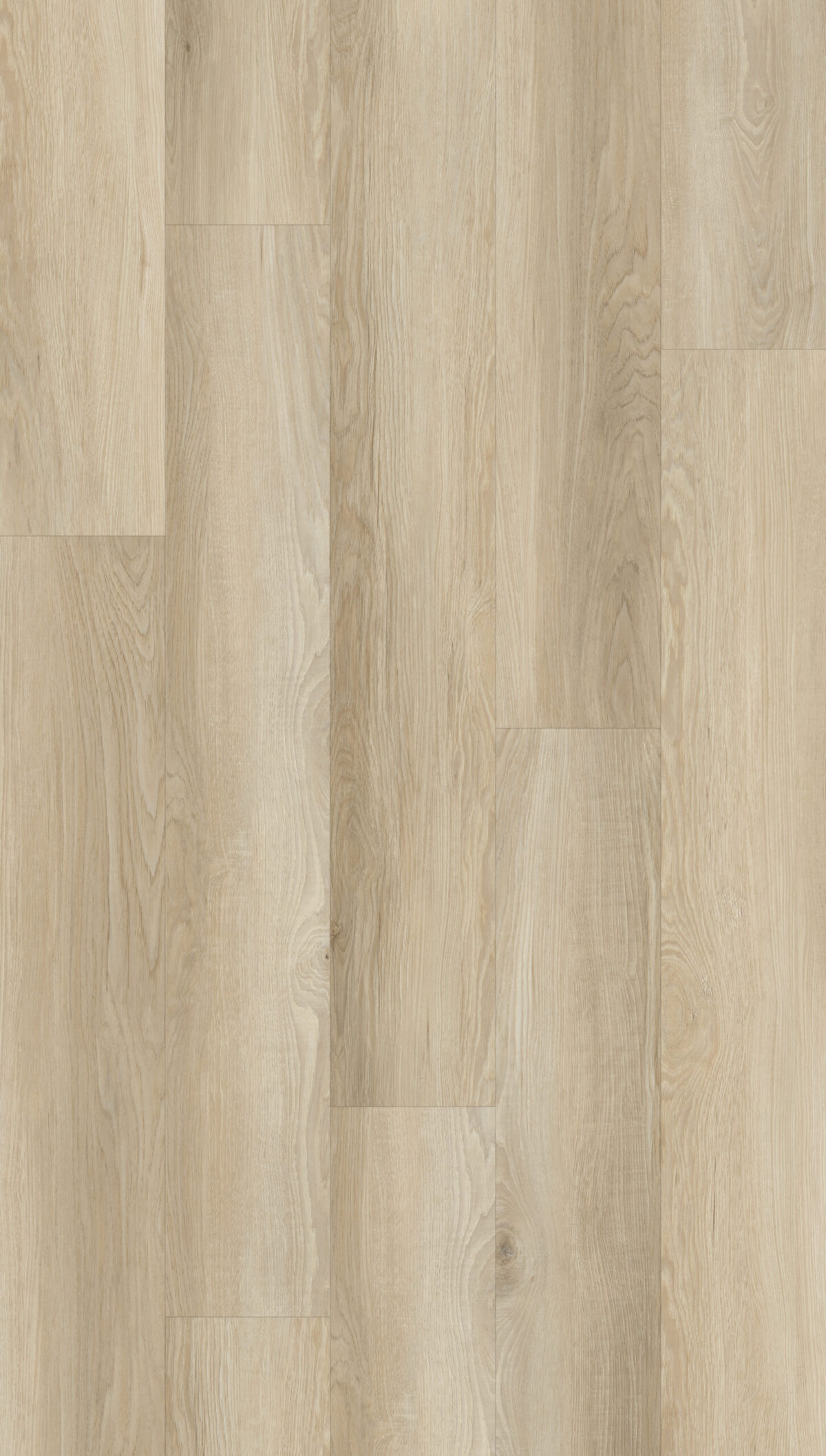 MP Light Oak