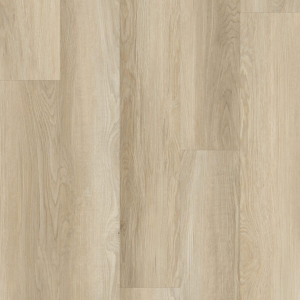 MP Light Oak