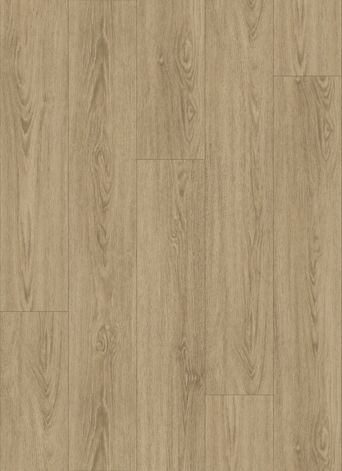 MP Medium Oak