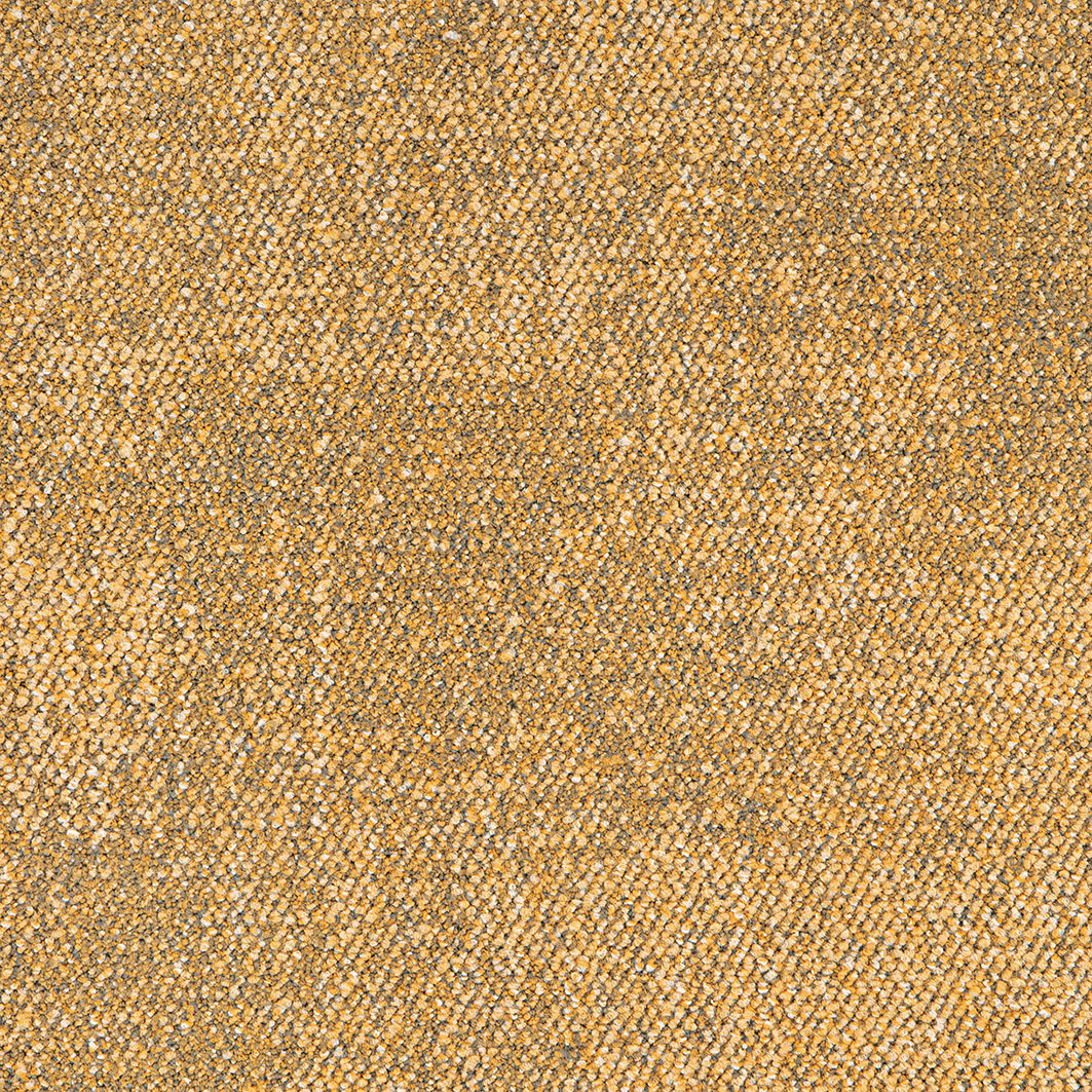Fluid 6 - Project Floors Concept