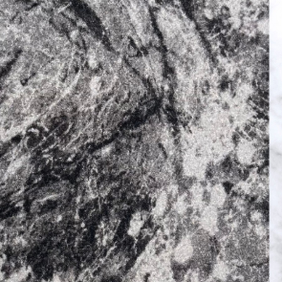 AWA 2 - Printed Carpet tile