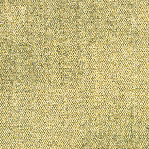 Fluid 3