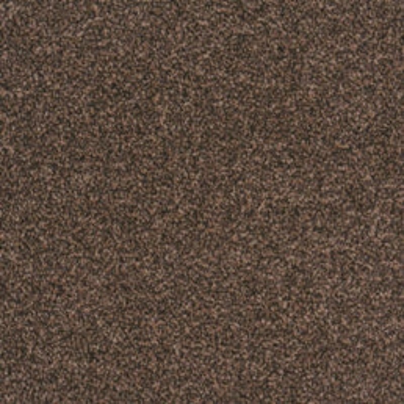 Castor Bay 1845 - Castor Bay Broadloom