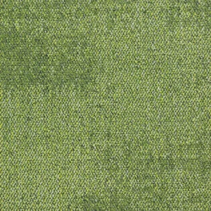 Fluid 12