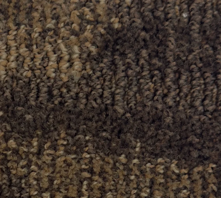 Caravan II 167702 - Caravan II Broadloom