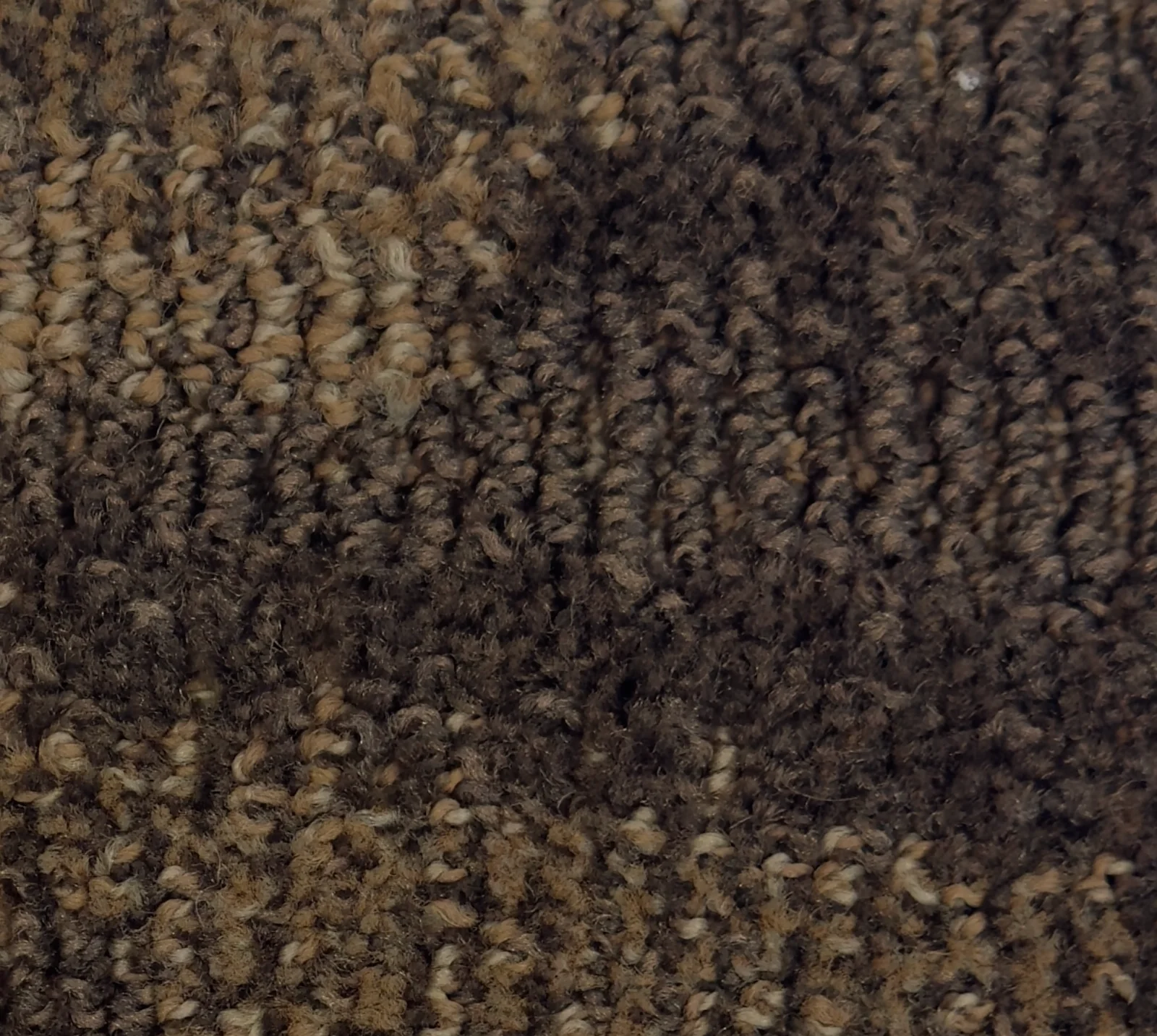 Caravan II 167702 - Caravan II Broadloom