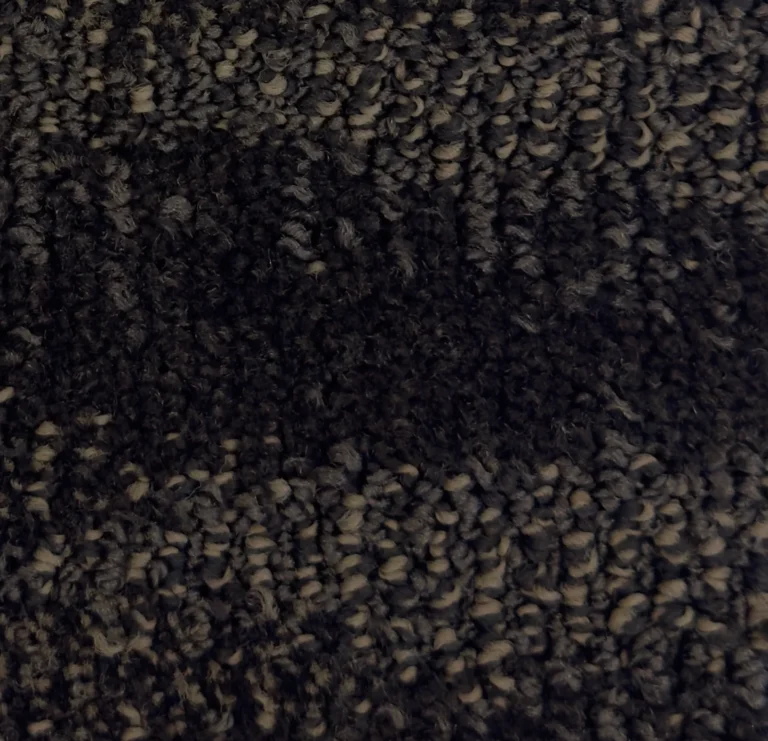 Caravan II 167704 - Caravan II Broadloom