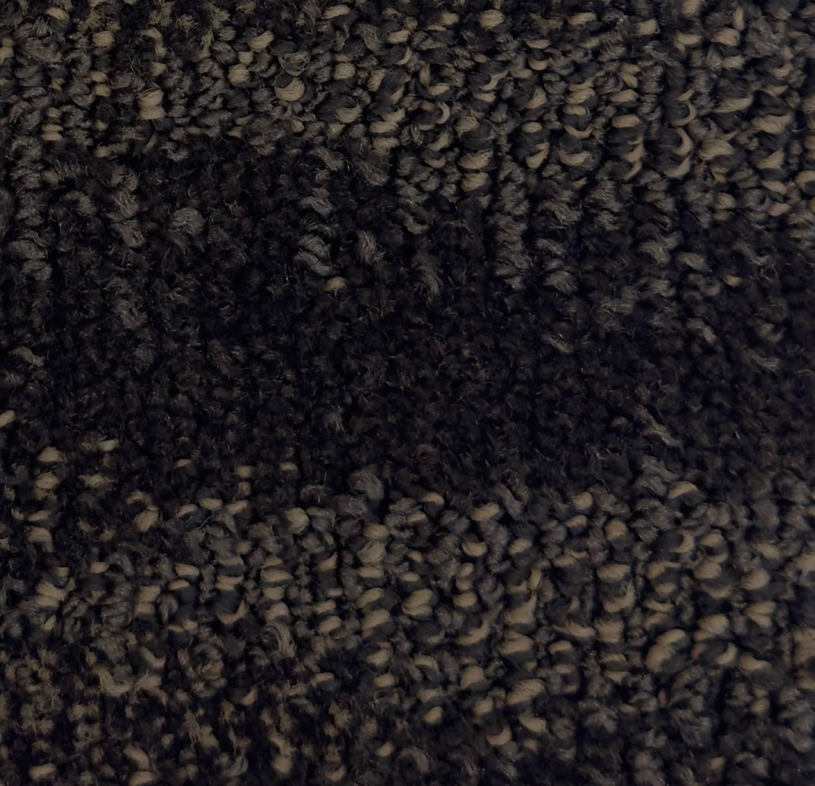 Caravan II 167704 - Caravan II Broadloom