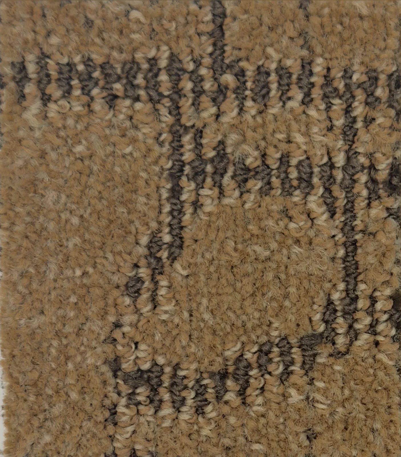 Caravan II 167801 - Caravan II Broadloom