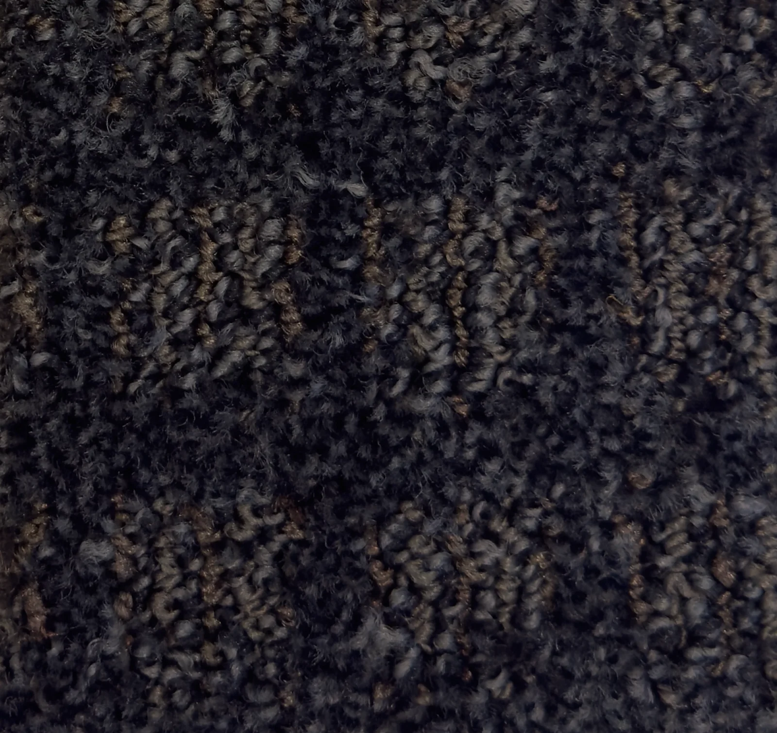 Caravan II 168001 - Caravan II Broadloom