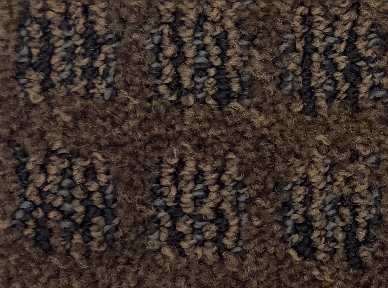 Caravan II 168002 - Caravan II Broadloom