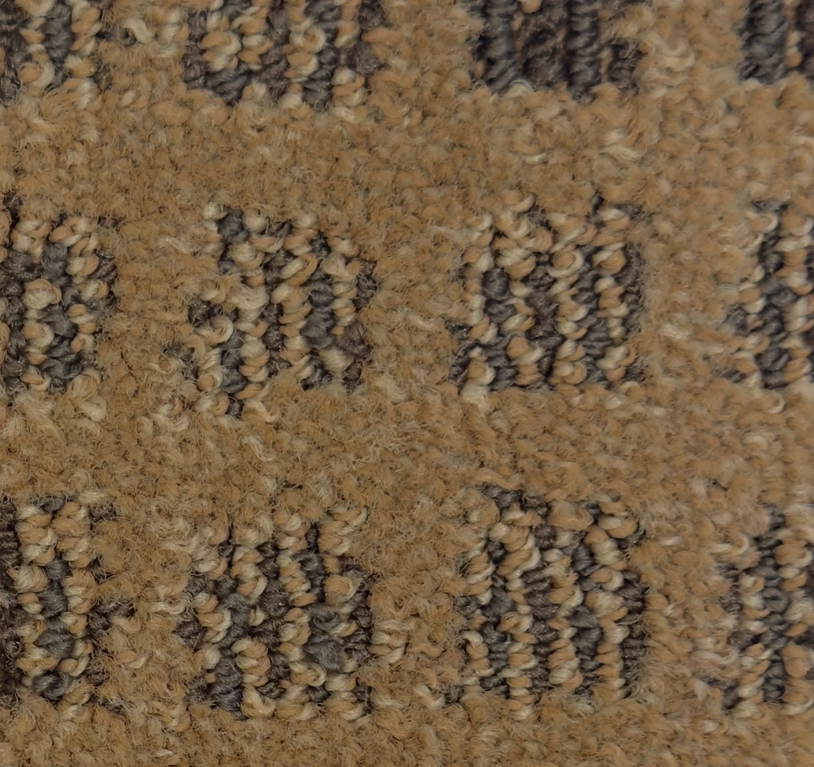 Caravan II 168004 - Caravan II Broadloom