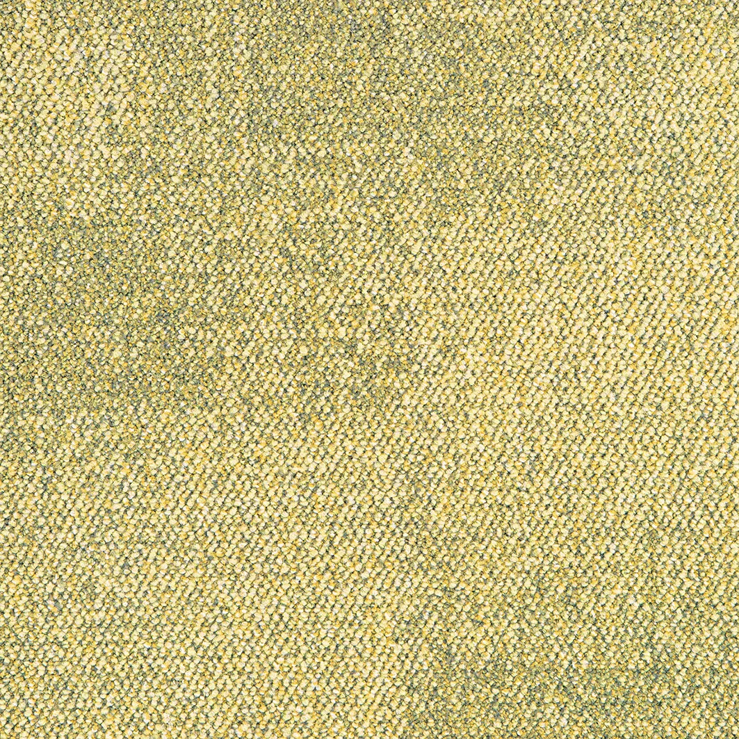 Fluid 3