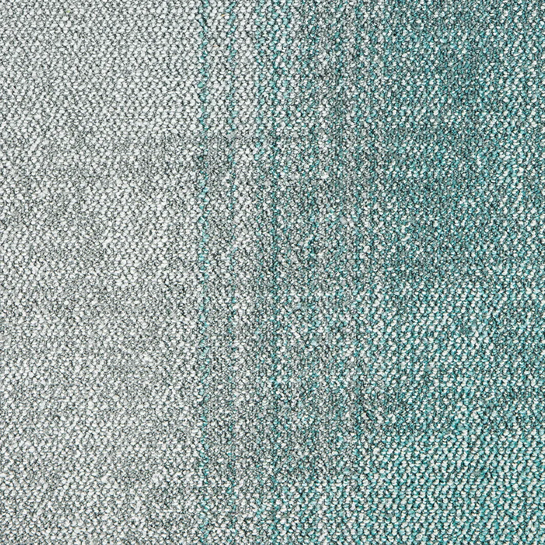 Fluid 8