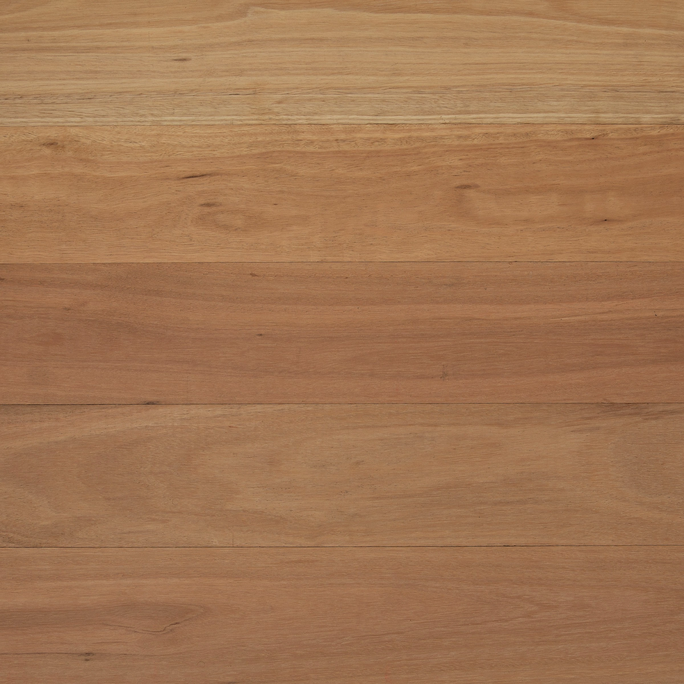 Fourteen Blackbutt flooring, Project Floors