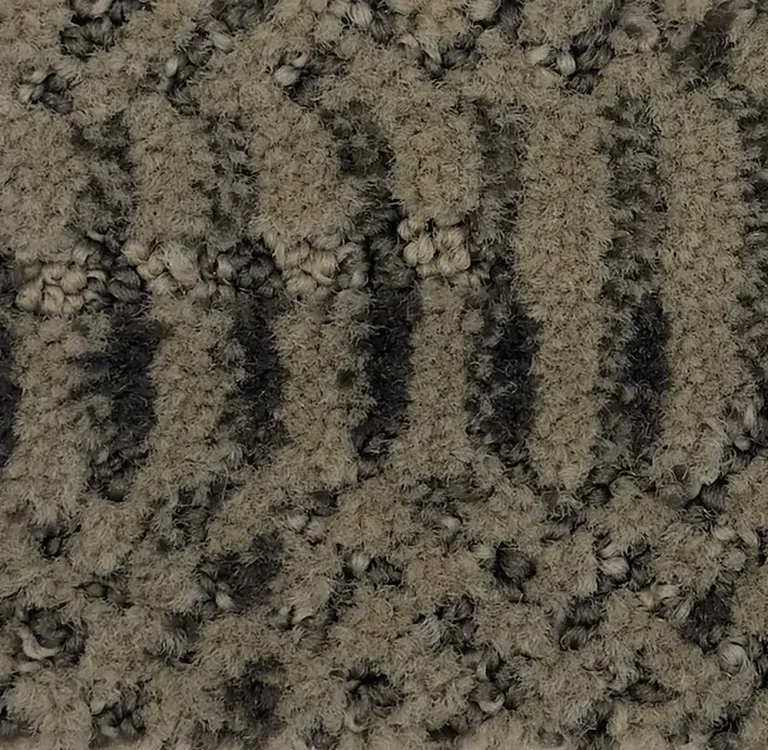 Phalaenopsis G1161-N4070 - Phalaenopsis Broadloom