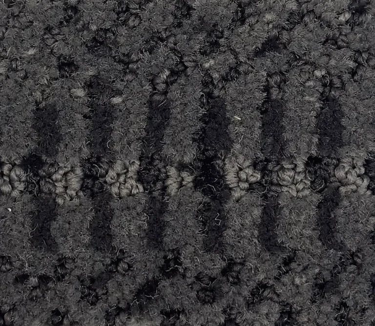Phalaenopsis G1161-N8009 - Phalaenopsis Broadloom