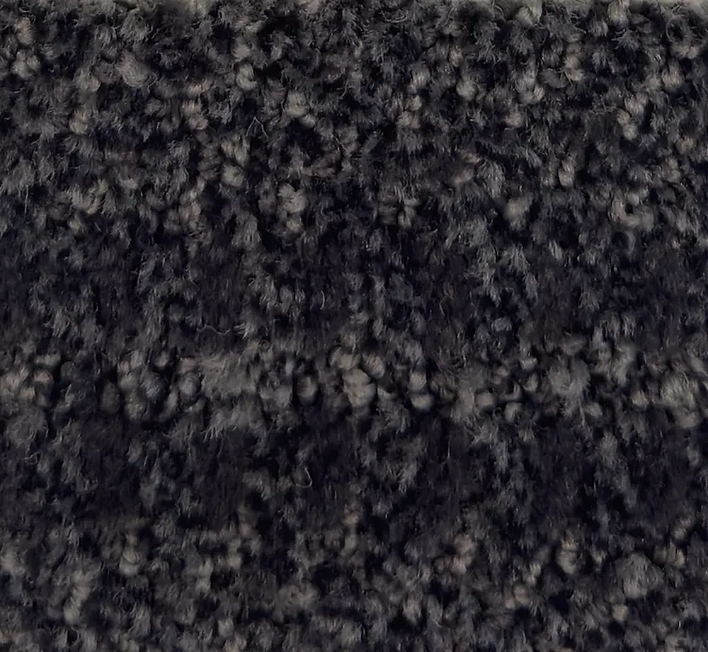 Phalaenopsis G1161-X3611 - Phalaenopsis Broadloom