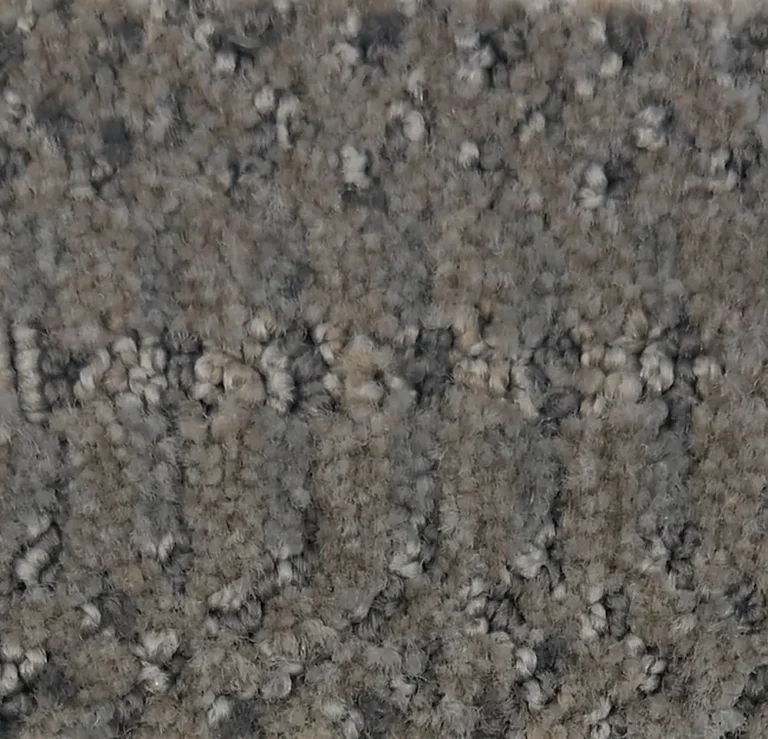 Phalaenopsis G1161-X5525 - Phalaenopsis Broadloom