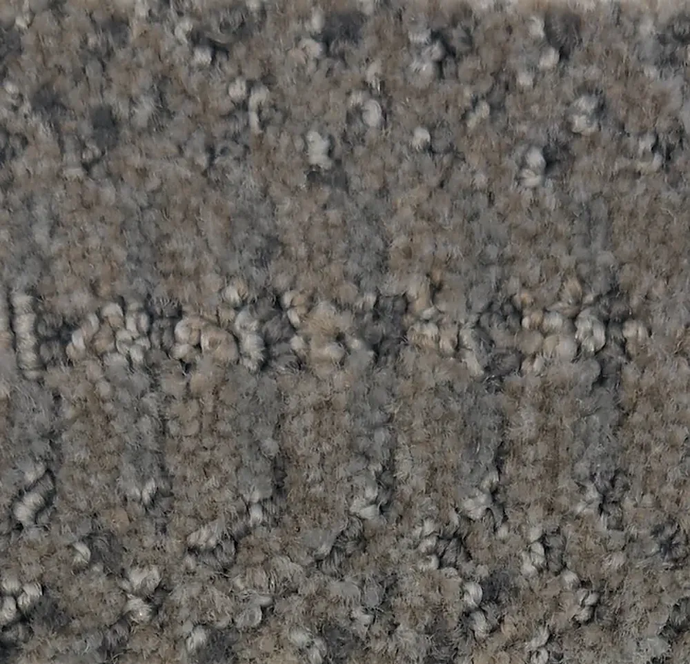 Phalaenopsis G1161-X5525 - Phalaenopsis Broadloom