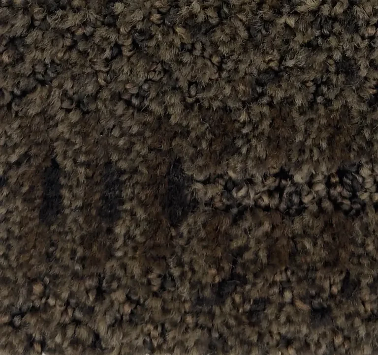Phalaenopsis G1161-X8500 - Phalaenopsis Broadloom