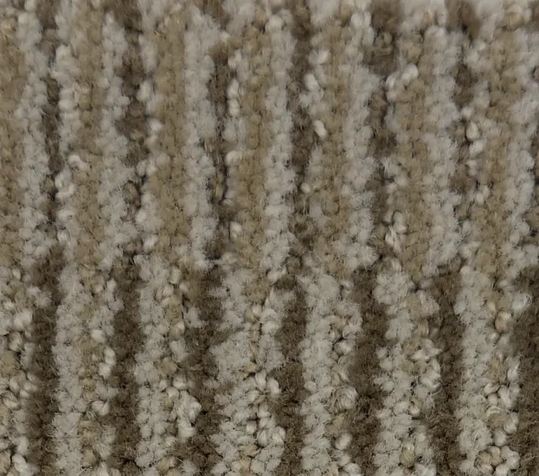Phalaenopsis G1162-N4067 - Phalaenopsis Broadloom