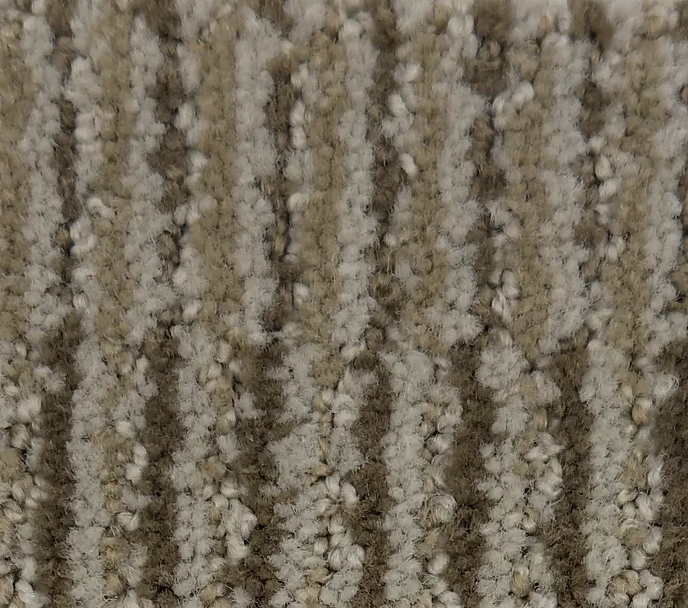 Phalaenopsis G1162-N4067 - Phalaenopsis Broadloom