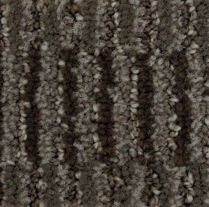 Phalaenopsis G1162-X4104 - Phalaenopsis Broadloom