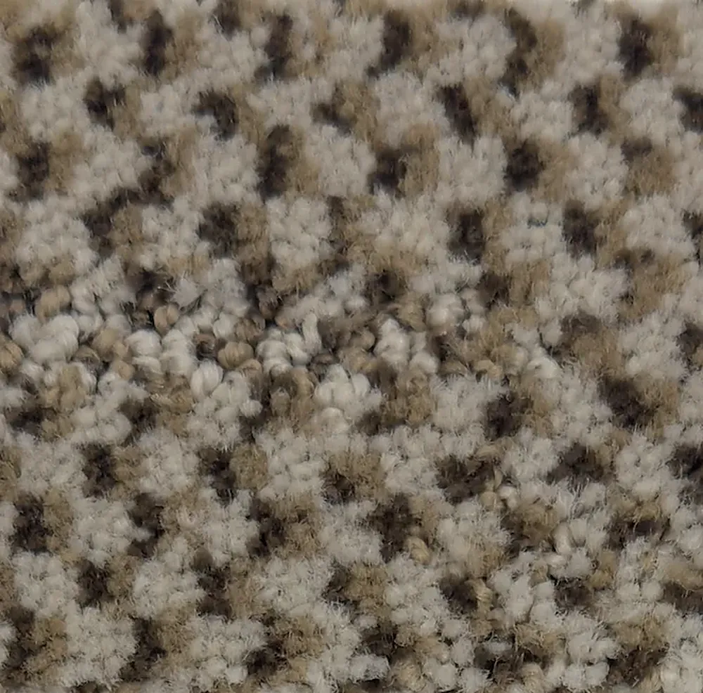 Phalaenopsis G1163-N4071 - Phalaenopsis Broadloom